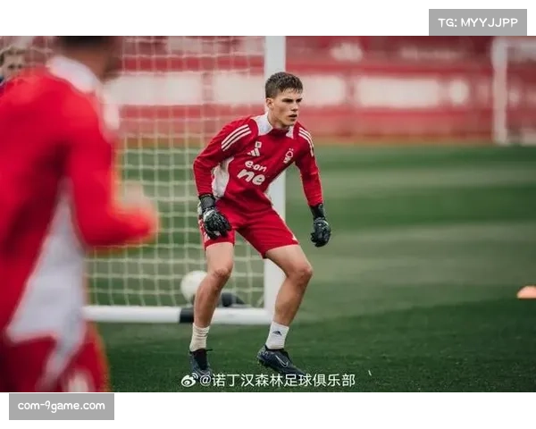 英超年轻球员成长迅速 联赛活力持续提升